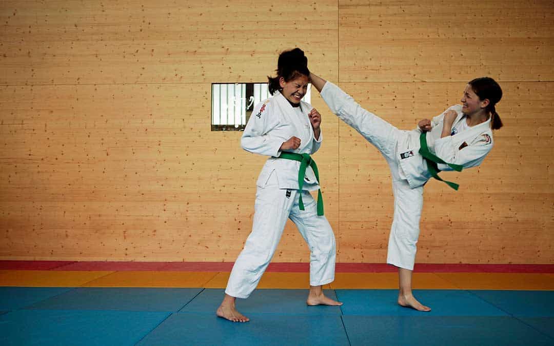 Baye­ri­sche Erfol­ge beim ers­ten welt­wei­ten Ju-Jutsu-E-Tournament